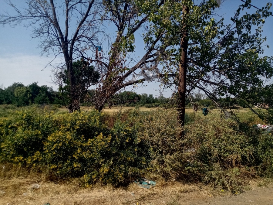 Commercial Property for Sale in Brandfort Free State